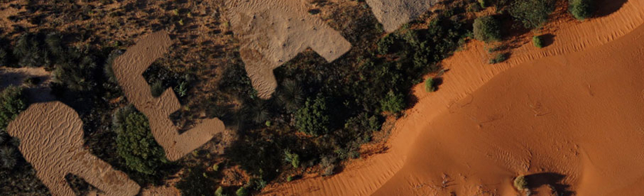 Banner SL